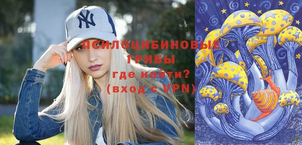 а пвп мука Абаза