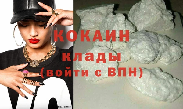 крисы Ростов