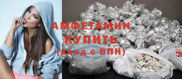 сатива Абинск